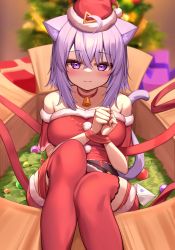 Rule 34 | 1girl, bell, blush, bound, bound wrists, box, breasts, cat girl, choker, christmas, closed mouth, deaver, dress, hat, highres, hololive, in box, in container, jingle bell, neck bell, nekomata okayu, purple eyes, purple hair, red choker, red thighhighs, santa costume, santa dress, santa hat, sitting, solo, thighhighs, virtual youtuber
