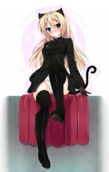 Rule 34 | 1girl, animal ears, black thighhighs, blonde hair, blush, boots, brown gloves, cat ears, cat tail, eyelashes, frown, gloves, green eyes, heinrike prinzessin zu sayn-wittgenstein, highres, hirschgeweih antennas, long hair, looking at viewer, military, military uniform, nironiro, noble witches, panties, pantyshot, sitting, solo, strike witches, tail, thighhighs, underwear, uniform, white panties, world witches series