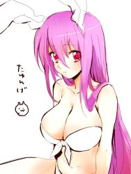 Rule 34 | 1girl, animal ears, bandeau, bikini, breasts, cleavage, front-tie top, hinabu, large breasts, long hair, looking at viewer, purple hair, rabbit ears, red eyes, reisen udongein inaba, simple background, sketch, solo, swimsuit, touhou, very long hair, white background, white bikini