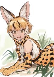 Rule 34 | 1girl, :d, animal ear fluff, animal ears, bare shoulders, belt, blonde hair, bow, bowtie, commentary request, elbow gloves, extra serval (kemono friends), gloves, grass, kemono friends, looking at viewer, lying, multicolored hair, on stomach, open mouth, print bow, print bowtie, print gloves, print skirt, rumenia (ao2is), serval print, shirt, short hair, sketch, skirt, sleeveless, sleeveless shirt, smile, solo, two-tone hair, white hair, white shirt, yellow eyes