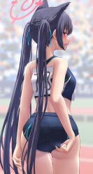 Rule 34 | 1girl, adjusting buruma, adjusting clothes, animal ears, ass, bare arms, bare shoulders, blue archive, blue hair, blue sports bra, blurry, blurry background, blush, buruma, cat ears, commentary, from behind, halo, highres, long hair, looking at viewer, looking back, open mouth, outdoors, red eyes, serika (blue archive), silver bullet (ecc12 8), solo, sports bra, thigh gap, thighs, track and field, twintails