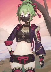 Rule 34 | 1girl, absurdres, bare tree, black gloves, black shorts, commentary request, cowboy shot, crop top, cropped jacket, genshin impact, gloves, green hair, hand on own hip, highres, jacket, kuki shinobu, long sleeves, looking at viewer, mask, midriff, mouth mask, navel, open clothes, open jacket, outdoors, pink sky, purple eyes, purple jacket, shiratakiseaice, short hair, short shorts, shorts, sky, solo, standing, stomach, tree