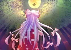 Rule 34 | 2girls, arm behind back, bamboo, bamboo forest, clenched hand, commentary request, cowboy shot, facing away, fisheye, floating, forest, from behind, fujiwara no mokou, full moon, hair ribbon, houraisan kaguya, long hair, moon, multiple girls, nature, night, ofuda, outdoors, pants, red pants, ribbon, shirt, short sleeves, silhouette, silver hair, standing, suzuki eiru, torn clothes, torn sleeves, touhou, very long hair, white shirt