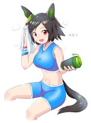 Rule 34 | 1girl, absurdres, animal ears, bandaid, bandaid on face, black hair, blue shorts, bottle, breasts, breath, cropped legs, drying, enomori neko, groin, hair ornament, hairclip, hand up, highres, holding, holding bottle, holding towel, horse ears, horse girl, looking at viewer, midriff, navel, open mouth, red eyes, short hair, shorts, sitting, small breasts, smile, solo, sports bra, sweat, sweatband, towel, umamusume, white background, winning ticket (umamusume), wristband