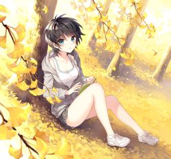 Rule 34 | 1girl, autumn, bare legs, black hair, blue eyes, blush, book, breasts, cleavage, collarbone, full body, ginkgo tree, hood, hoodie, kono koi to sono mirai, leaf, looking at viewer, nardack, oda mirai, official art, shoes, short hair, shorts, sitting, sneakers, solo, tree, yellow theme