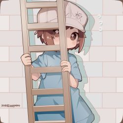 Rule 34 | 10s, 1girl, blue shirt, blush, brick wall, brown eyes, brown hair, captain yue, character name, clothes writing, covered mouth, dated, flat cap, flying sweatdrops, grey hat, hat, hataraku saibou, head tilt, holding, ladder, looking at viewer, platelet (hataraku saibou), shirt, short hair, short sleeves, solo, twitter username