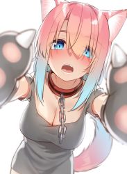Rule 34 | 1girl, absurdres, animal collar, animal ears, animal hands, bare shoulders, bent over, blue eyes, blue hair, blush, breasts, cat ears, cat tail, chain, chain leash, cleavage, collar, dress, fang, gloves, go-1, gradient hair, grey dress, grey shirt, hair between eyes, hair over eyes, highres, large breasts, leash, lipgloss, long bangs, long hair, looking at viewer, multicolored hair, off-shoulder dress, off-shoulder shirt, off shoulder, open mouth, original, paw gloves, pink hair, pov, reaching, reaching towards viewer, shirt, short dress, sidelocks, simple background, tail, tareme, two-tone hair, white background