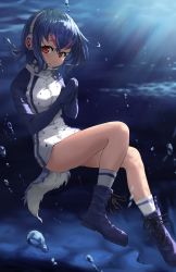 Rule 34 | 1girl, air bubble, black hair, blue footwear, blue hair, boots, bubble, commentary, cross-laced footwear, headphones, highres, humboldt penguin (kemono friends), jacket, kemono friends, kemono friends v project, lace-up boots, light frown, long sleeves, looking at viewer, melaton, multicolored hair, no pants, own hands together, parted lips, penguin tail, red eyes, short hair, single horizontal stripe, socks, solo, swimsuit, swimsuit under clothes, tail, underwater, white jacket, white socks, zipper