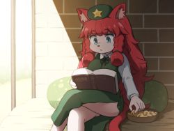 Rule 34 | 1girl, animal ear fluff, animal ears, aqua eyes, beret, book, bowl, braid, breasts, brick wall, cat ears, cat tail, chinese clothes, chips (food), collared shirt, commentary request, crossed legs, eyelashes, feet out of frame, food, furry, furry female, gate, green hat, hair ribbon, hat, hat ornament, holding, holding book, hong meiling, kemonomimi mode, large breasts, long sleeves, pillow, potato chips, reading, red hair, ribbon, shirosato, shirt, side slit, sidelocks, sitting, solo, star (symbol), star hat ornament, sunlight, tail, thighs, touhou, tress ribbon, twin braids, whiskers, wing collar