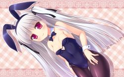 Rule 34 | 10s, 1girl, absolute duo, animal ears, breasts, cameltoe, cleavage, detached collar, fake animal ears, female focus, leotard, long hair, miu (c blue), open m/, pantyhose, playboy bunny, rabbit ears, red eyes, silver hair, small breasts, wrist cuffs, yurie sigtuna