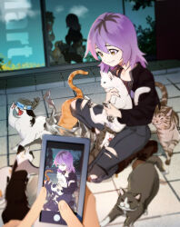 Rule 34 | 2girls, amity blight, animal, animification, bag, can, cat, cellphone, denim, fangs, highres, holding, holding animal, holding cat, jacket, jeans, kneeling, kuma20151225, luz noceda, multiple girls, pants, phone, pov, purple hair, recording, reflection, shopping bag, smartphone, smile, the owl house, torn clothes, torn jeans, torn pants, yellow eyes