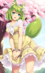 Rule 34 | 1girl, :d, animal ear fluff, animal ears, blue eyes, blue sky, breasts, cherry, cherry blossoms, collarbone, day, dress, eyebrows, food, fox ears, fox tail, fruit, green hair, hanami, head tilt, head wreath, highres, leaning forward, looking at viewer, open mouth, original, outdoors, petals, petticoat, pink lips, sasaame, see-through, shawl, short hair, sky, smile, solo, spring (season), standing, swept bangs, tail, tree, v arms, wrist cuffs, yellow dress