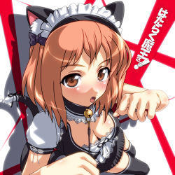 Rule 34 | 1girl, :o, animal ears, bell, blush, bow, brown eyes, brown hair, cat ears, cat tail, copyright name, doriri, fang, hair bow, hataraku maou-sama!, highres, maid, maid headdress, open mouth, paw pose, ribbon, sasaki chiho, short hair, simple background, solo, tail, tail ornament, tail ribbon, two side up