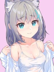 Rule 34 | 1girl, animal ear fluff, animal ears, bad id, bad pixiv id, bare shoulders, blue archive, blue eyes, blush, breasts, camisole, cleavage, cross hair ornament, extra ears, grey hair, hair ornament, highres, looking at viewer, medium breasts, medium hair, mismatched pupils, pink background, shiroko (blue archive), shirt, simple background, smile, solo, undressing, upper body, wet, wet clothes, white camisole, white shirt, wolf ears, yako noir (kei-ne)