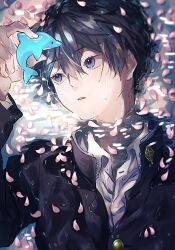 Rule 34 | 1boy, black hair, blue eyes, cherry blossoms, dolphin, free!, hair between eyes, high speed!, highres, holding, holding toy, looking at object, male focus, nanase haruka (free!), omutarou, parted lips, partially submerged, petals, petals on liquid, ripples, school uniform, short hair, solo, toy, upper body, water, wet, wet clothes, wet hair