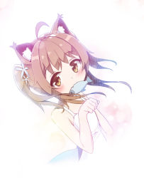 Rule 34 | 1girl, :3, ahoge, animal ears, bad id, bad pixiv id, brown eyes, brown hair, cat ears, dress, eyebrows, fang, fish, fish in mouth, hair ornament, looking at viewer, miho (dreamhutmino), mouth hold, original, paw pose, sidelocks, solo, twintails, upper body, white dress