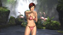 Rule 34 | 3d, bird, breasts, cleavage, clenched hand, dead or alive, dead or alive 5, flamingo, large breasts, mila (doa), nature, official art, scenery, swimsuit, tecmo, water, waterfall