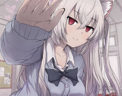 Rule 34 | 1girl, @ @, animal ear fluff, animal ears, bad id, bad pixiv id, blue neckwear, blue ribbon, buttons, cardigan, cat ears, classroom, closed mouth, collar, collared shirt, hair between eyes, indoors, long hair, looking at viewer, natsutarou, nora cat, nora cat channel, popped collar, reaching, reaching towards viewer, red eyes, ribbon, school, school uniform, shirt, silver hair, smile, solo, two side up, upper body, very long hair, virtual youtuber