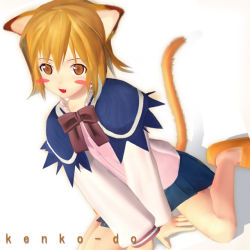 Rule 34 | 1girl, 3d, animal ears, blush stickers, cat ears, cat tail, minis, solo, summon night, summon night 2, tail