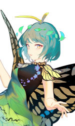 Rule 34 | 1girl, butterfly wings, dress, eternity larva, foreshortening, from side, green dress, green hair, hair ornament, highres, insect wings, leaf hair ornament, looking at viewer, looking to the side, parted lips, reeh (yukuri130), short hair, short sleeves, smile, solo, touhou, upper body, wings, yellow eyes