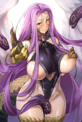 Rule 34 | akinaie, areola slip, bare shoulders, blush, breasts, choker, claws, cleavage, collar, commentary request, covered erect nipples, fate/grand order, fate (series), gorgon (fate), hand on own chest, highres, large breasts, long hair, looking at viewer, medusa (fate), medusa (lancer) (fate), medusa (rider) (fate), monster girl, multiple girls, navel, purple eyes, purple hair, red collar, rider, scales, skindentation, snake, solo, standing, sweat, very long hair