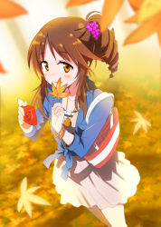 Rule 34 | 1girl, autumn leaves, bad id, bad pixiv id, blurry, blush, bracelet, brown eyes, brown hair, camera, depth of field, drill hair, gotyou, hair ornament, holding, idolmaster, jewelry, leaf, looking at viewer, necklace, open mouth, revision, school uniform, sidelocks, solo, striped, takamori aiko