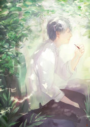 Rule 34 | 1boy, cigarette, creature, dappled sunlight, from side, ginko, glowing, green eyes, leaf, male focus, mushishi, pants, plant, re:i, shade, shirt, signature, silver hair, sitting, sleeves rolled up, smoke, smoking, solo, sunlight, tree, white shirt