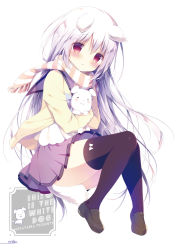Rule 34 | 1girl, :o, animal ears, black thighhighs, blue bow, blue bowtie, blush, bow, bowtie, brown footwear, cardigan, dog ears, dog girl, dog tail, fang, full body, hair between eyes, head tilt, highres, hugging object, loafers, long hair, long sleeves, looking at viewer, original, parted lips, pleated skirt, purple skirt, red eyes, scarf, school uniform, serafuku, shiratama (shiratamaco), shiroi inu, shirt, shoes, silver hair, sitting, skirt, solo, striped clothes, striped scarf, stuffed animal, stuffed dog, stuffed toy, tail, thighhighs, very long hair, white background, white shirt