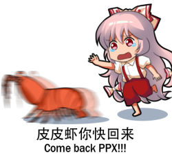 Rule 34 | 1girl, barefoot, bilingual, bow, chinese text, commentary request, crying, crying with eyes open, english text, engrish text, fujiwara no mokou, hair bow, hair ribbon, jokanhiyou, long hair, lowres, meme, mixed-language text, motion blur, multi-tied hair, pants, pink hair, ranguage, red eyes, red pants, ribbon, shirt, short sleeves, shrimp, solo, suspenders, tears, touhou, translated, white background, white shirt
