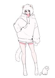 Rule 34 | ahoge, animal ears, averting eyes, bare legs, blush, bob cut, bright pupils, cat, cat ears, cat girl, cat tail, closed mouth, dot mouth, full body, highres, hood, hoodie, megateru, nose blush, original, sleeves past fingers, sleeves past wrists, socks, solo, tail, thigh gap, white background, white cat, white hoodie, white pupils, white socks, white theme