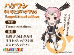 Rule 34 | 1girl, animal ears, extra ears, kemono friends, lappet-faced vulture (kemono friends), looking at viewer, lowres, official art, simple background, solo, tail, yoshizaki mine