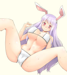 Rule 34 | 1girl, animal ears, arnest, beige background, bikini, blush, breasts, cameltoe, commission, covered erect nipples, groin, hand on own chest, large breasts, long hair, looking at viewer, lying, navel, on back, purple hair, rabbit ears, red eyes, reisen udongein inaba, sidelocks, skeb commission, smile, spread legs, sweat, swimsuit, thighs, touhou, white bikini