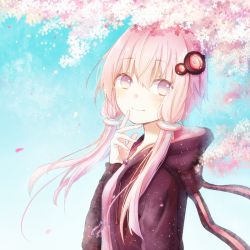 Rule 34 | 1girl, animal hood, bad id, bad pixiv id, cherry blossoms, day, dress, eyebrows, finger to mouth, hair ornament, hood, hood down, hoodie, looking at viewer, mimengfeixue, petals, purple eyes, purple hair, rabbit hood, short hair with long locks, sky, smile, solo, twintails, vocaloid, voiceroid, wind, yuzuki yukari