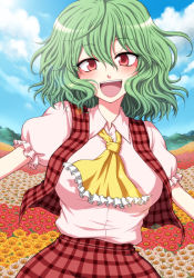 Rule 34 | 1girl, :d, ascot, blouse, blush, breasts, female focus, field, flower, flower field, green hair, happy, kazami yuuka, large breasts, looking at viewer, mokku, open mouth, outstretched arms, plaid, plaid skirt, plaid vest, red eyes, shirt, short hair, skirt, skirt set, smile, solo, spread arms, touhou, vest, wavy hair