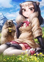 Rule 34 | 1girl, alpine marmot (kemono friends), animal ears, beige sweater, black gloves, black hair, bow, bowtie, brown eyes, collared shirt, commentary request, elbow gloves, fur trim, gloves, grass, grey hair, grey thighhighs, highres, kemono friends, lain, looking at viewer, mountain, multicolored hair, plaid, plaid skirt, pleated skirt, red bow, red bowtie, red skirt, shirt, short hair, short sleeves, sitting, skirt, sky, solo, squirrel ears, squirrel girl, squirrel tail, tail, thighhighs, white shirt, zettai ryouiki