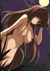 Rule 34 | 00s, 1girl, animal ears, breasts, brown eyes, brown hair, grass, holo, large breasts, long hair, nipples, nude, shijou sadafumi, solo, spice and wolf, tail, wolf ears, wolf tail