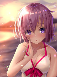 Rule 34 | 1girl, absurdres, beach, bikini, blush, bow, bow bikini, bow bra, bra, breasts, cleavage, fate/grand order, fate (series), hand to own mouth, highres, huge filesize, large breasts, looking at viewer, mash kyrielight, mash kyrielight (swimsuit of perpetual summer), medium breasts, official alternate costume, open mouth, petals, purple eyes, purple hair, solo, sou skate714, sunset, swimsuit, underwear, upper body, white bikini