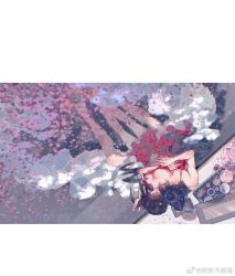Rule 34 | 1boy, 1girl, bare shoulders, black hair, blush, bowl, brown hair, character request, chi lian (qin shi ming yue), chopsticks, cui fa lanzhou, dress, exif rotation, from above, girl on top, highres, holding another&#039;s hair, looking down, petals, petals on liquid, qinshi mingyue, red dress, second-party source, thighs, tray, water, wet, wet hair