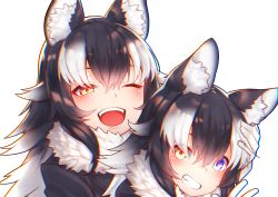 Rule 34 | 2girls, absurdres, akuma (st.takuma), animal ear fluff, animal ears, black hair, blue eyes, dual persona, fur collar, gloves, grey wolf (kemono friends), hand in another&#039;s hair, heterochromia, highres, kemono friends, multicolored hair, multiple girls, one eye closed, open mouth, simple background, two-tone hair, white background, white gloves, wolf ears, wolf girl, yellow eyes