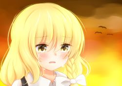 Rule 34 | 1girl, absurdres, bad id, bad pixiv id, bird, blonde hair, blush, braid, collared shirt, commentary, crying, crying with eyes open, d:, highres, kirisame marisa, long hair, no headwear, open mouth, shirt, side braid, single braid, solo, streaming tears, sunset, tears, touhou, unira, vest, yellow eyes