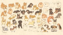 Rule 34 | animal, animal focus, black dog, commentary request, dachshund, dog, highres, looking at viewer, mojacookie, no humans, original, shadow, shiba inu, signature, welsh corgi, white dog