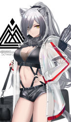 Rule 34 | 1girl, absurdres, animal ear fluff, animal ears, arknights, bag, black hair, black scarf, black shorts, breasts, bustier, cat ears, cat girl, cat tail, cleavage, closed mouth, coat, crop top, ear piercing, eternity (pixiv8012826), expressionless, eyes visible through hair, gradient hair, hair ornament, hair over one eye, hair scrunchie, hand on own hip, highres, holding, holding bag, large breasts, layered sleeves, long hair, long sleeves, looking at viewer, multicolored hair, navel, open clothes, open coat, piercing, ponytail, raincoat, scarf, schwarz (arknights), scrunchie, see-through, short over long sleeves, short shorts, short sleeves, shorts, silver hair, solo, stomach, suspenders, tail, very long hair, yellow eyes, zipper