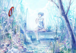 Rule 34 | 1girl, aki (aporo body), aqua theme, arm support, bad id, bad pixiv id, barefoot, blue theme, bucket, cloud, food, grass, looking away, muted color, open mouth, original, popsicle, profile, road sign, short hair, short ponytail, sign, sitting, sky, soaking feet, solo, stream, tree, water