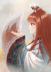 Rule 34 | 1girl, 2000s (style), absurdres, animal ear fluff, animal ears, brown hair, dress, highres, holo, japanese clothes, kimono, md5 mismatch, red eyes, resolution mismatch, source larger, spice and wolf, tail, wheat field