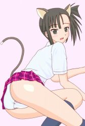 Rule 34 | 00s, animal ears, blush, cat ears, cat tail, mahou sensei negima!, panties, sakurazaki setsuna, side ponytail, skirt, tail, underwear