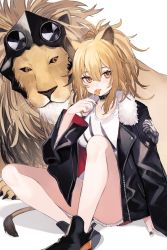 Rule 34 | 1girl, animal ears, arknights, bare legs, black choker, black footwear, black jacket, black nails, blonde hair, breasts, candy, choker, food, fur trim, highres, jacket, knee up, large breasts, licking, lion, lion ears, lion tail, lollipop, long hair, long sleeves, looking at viewer, micro shorts, nail polish, open clothes, open jacket, orange eyes, ponytail, red shorts, shirt, shoes, shorts, shugao, siege (arknights), sitting, solo, tail, thighs, tongue, tongue out, white shirt
