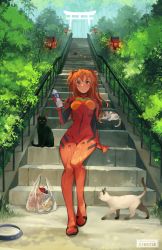 Rule 34 | bag, blue eyes, bodysuit, bottle, breasts, cat, commentary, food, full body, highres, holding, holding bottle, long hair, looking at viewer, medium breasts, neon genesis evangelion, orange hair, outdoors, parted lips, plastic bag, plugsuit, pocky, red bodysuit, sitting, sitting on stairs, souryuu asuka langley, stairs, syertse, twintails