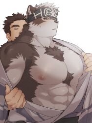 Rule 34 | 2boys, abs, ainu clothes, animal ears, bara, black hair, blush, chest tuft, closed eyes, facial hair, furry, furry male, furry with non-furry, grey fur, grey hair, headband, highres, horkeu kamui, interspecies, japanese clothes, kimono, large pectorals, male focus, multiple boys, muscular, muscular male, navel, nipples, open clothes, open kimono, opening another&#039;s clothes, pectorals, protagonist 3 (housamo), short hair, sideburns stubble, simple background, stubble, sweatdrop, thick eyebrows, tokyo houkago summoners, two-tone fur, upper body, wanijima, white background, wolf boy, wolf ears, yaoi