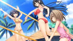 Rule 34 | 3girls, armpits, arms up, ass, ball, beach volleyball, bikini, black hair, blonde hair, blue eyes, breasts, brown hair, casual one-piece swimsuit, cleavage, closed eyes, cloud, day, eyebrows, frilled one-piece swimsuit, frills, game cg, hair between eyes, hair intakes, happy, jumping, komorebi no nostalgica, komorebi no nostalgica: raggio di sole nostalgico, long hair, medium breasts, multiple girls, navel, net, norita, one-piece swimsuit, open mouth, outdoors, palm tree, pink bikini, pink one-piece swimsuit, playing sports, red bikini, sarawatari itsuki, sawatari itsuki, shimadzu akira, shimazu akira, short hair, sky, smile, sunlight, swimsuit, tree, underboob, volleyball, volleyball (object), wallpaper, yellow bikini