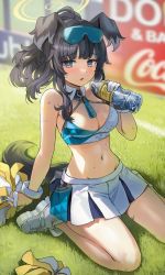 Rule 34 | 1girl, animal ears, arm tattoo, bare legs, black eyes, black hair, blue archive, blush, bottle, bracelet, breasts, cleavage, crop top, day, dog ears, dog tail, gijang, gloves, goggles, goggles on head, grass, halo, hibiki (blue archive), hibiki (cheer squad) (blue archive), highres, holding, holding bottle, holding pom poms, jewelry, long hair, looking at viewer, medium breasts, midriff, millennium cheerleader outfit (blue archive), miniskirt, navel, outdoors, parted lips, pom pom (cheerleading), pom poms, ponytail, shoes, sidelocks, single glove, skirt, solo, tail, tattoo, white gloves, white skirt